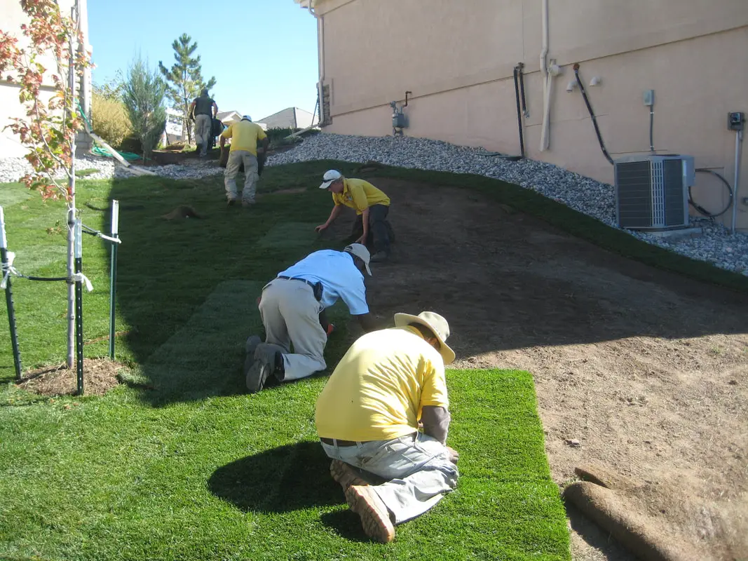 Team of landscapers installing green turf in a residential garden area.